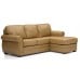 Robroy Leather Sectional