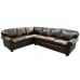 Augusta Leather Sectional