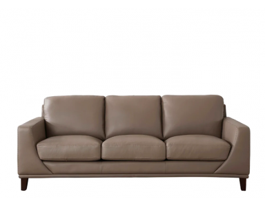 Quick Ship • Forli Leather Sofa Set