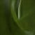 (MG) Mont Blanc Evergreen (Grade G)