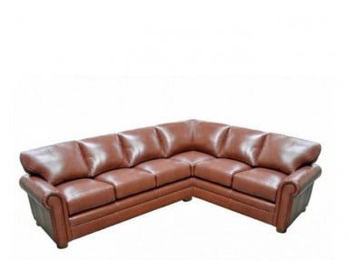 Apex Leather Sectional